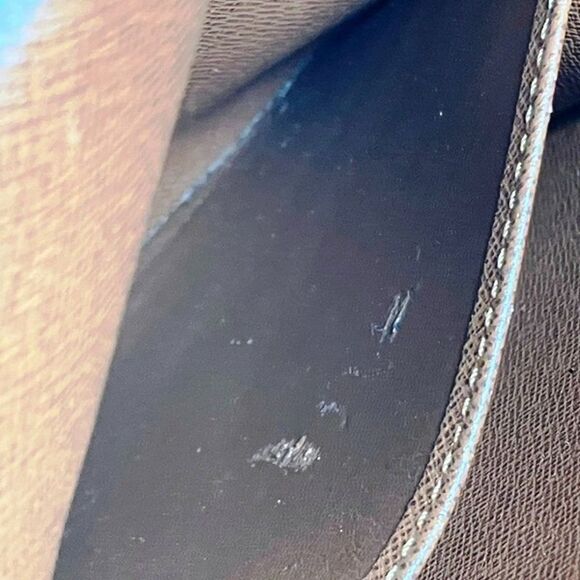 Louis Vuitton Amazon Brown Canvas Shoulder Bag (Pre-Owned) - Picture 6 of 9